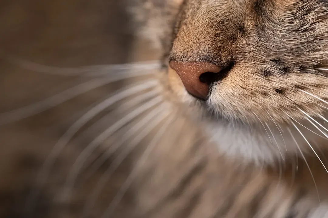 The nostril switch that hints at deeper recognition (Image Credits: Unsplash)