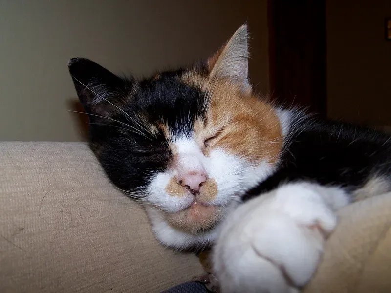 Trust Beyond Measure (Image Credits: Flickr)