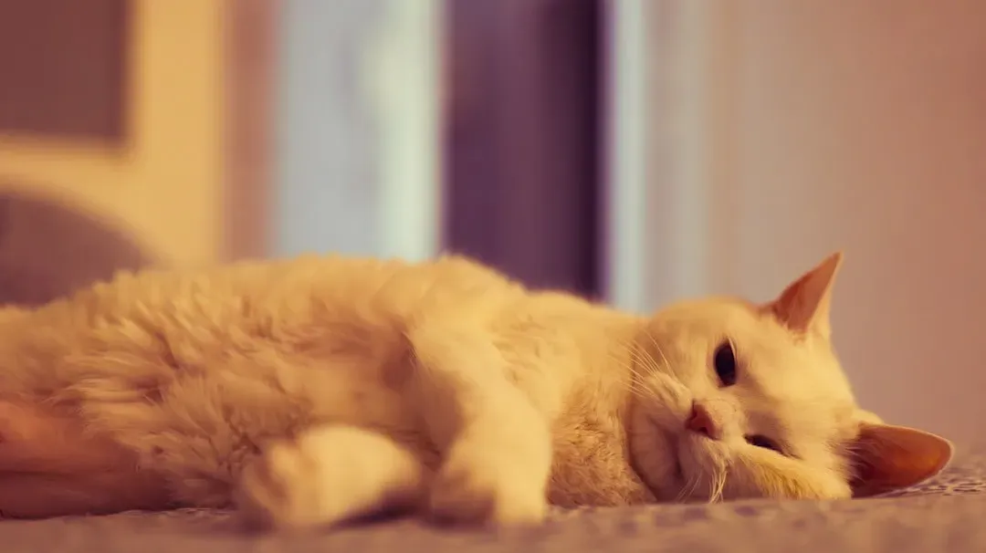 Severe Lethargy and Loss of Responsiveness (Image Credits: Unsplash)