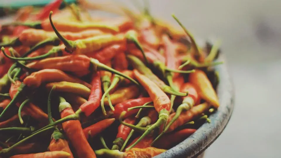 Strong Spices: Chili, Pepper, and Curry (Image Credits: Stocksnap)