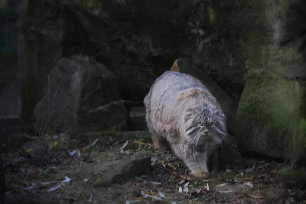 Hunting Strategies That Would Impress Any Predator (Image Credits: Flickr)