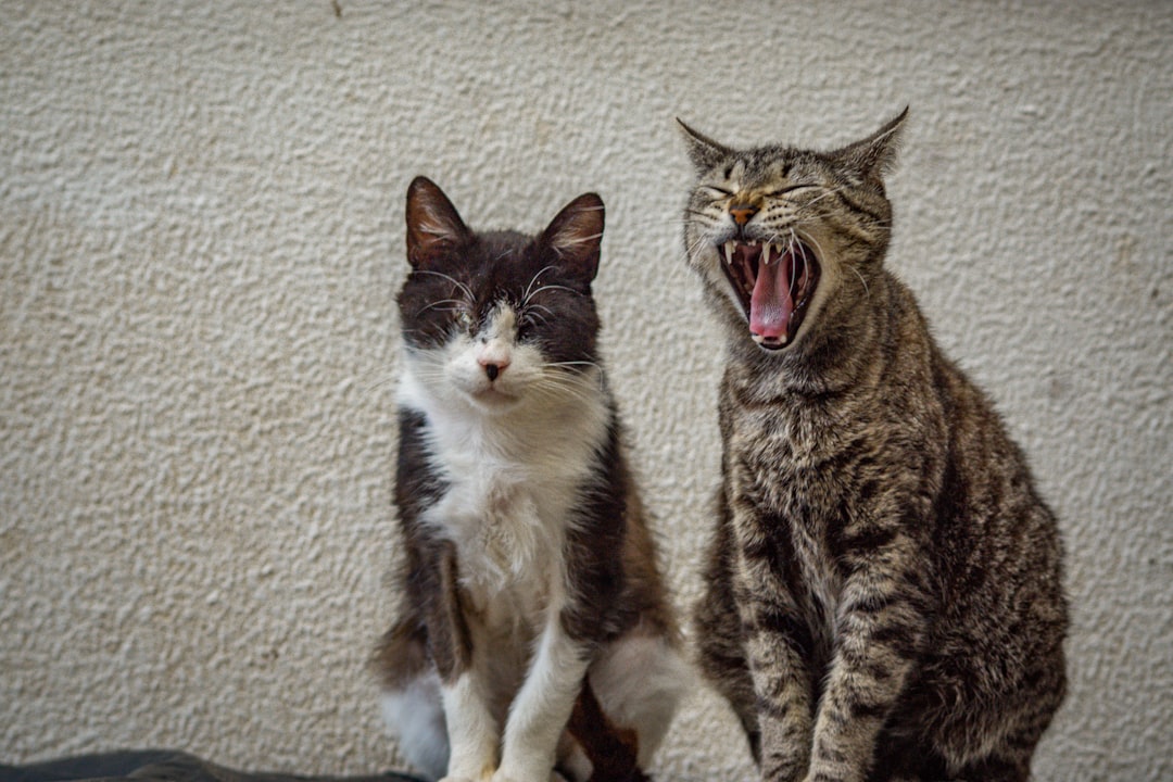 Recognize Warning Signs and Adjust Your Approach (Image Credits: Unsplash)