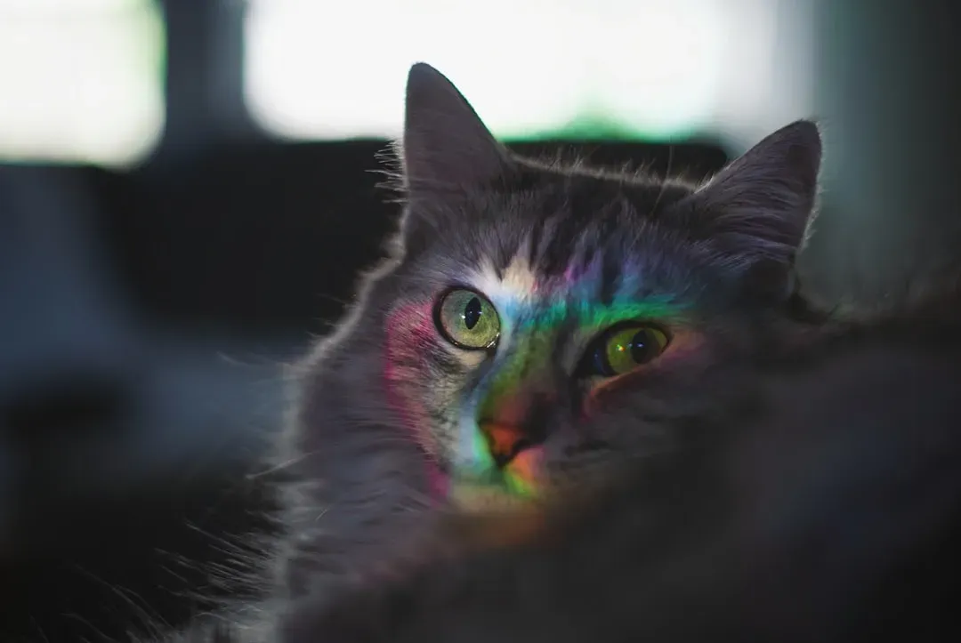 Those Incredible Eyes Are Built for Low Light (Image Credits: Unsplash)