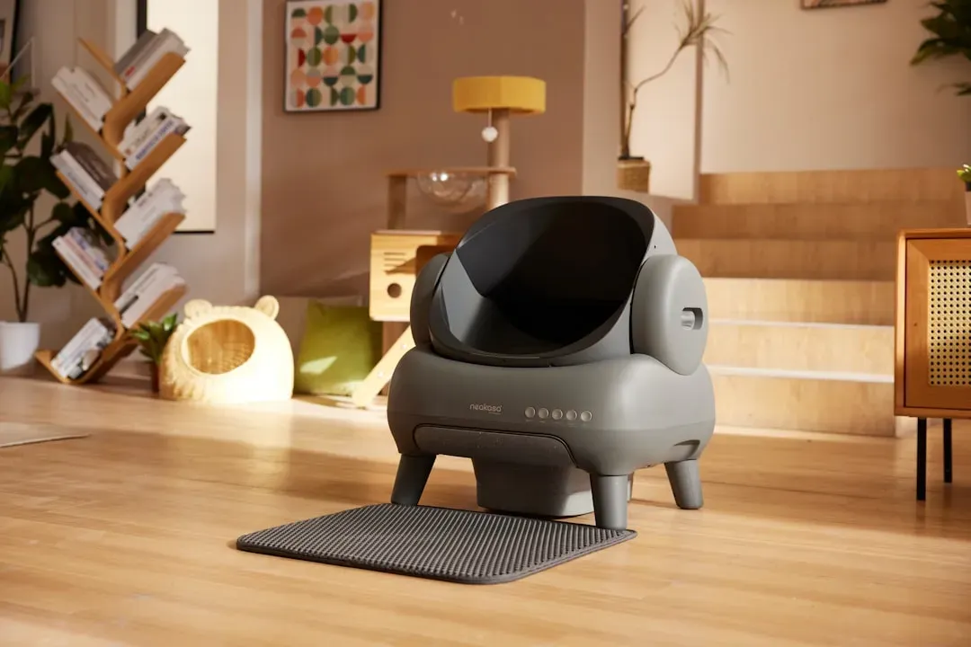 4. Perfect the Litter Box Setup (Image Credits: Unsplash)