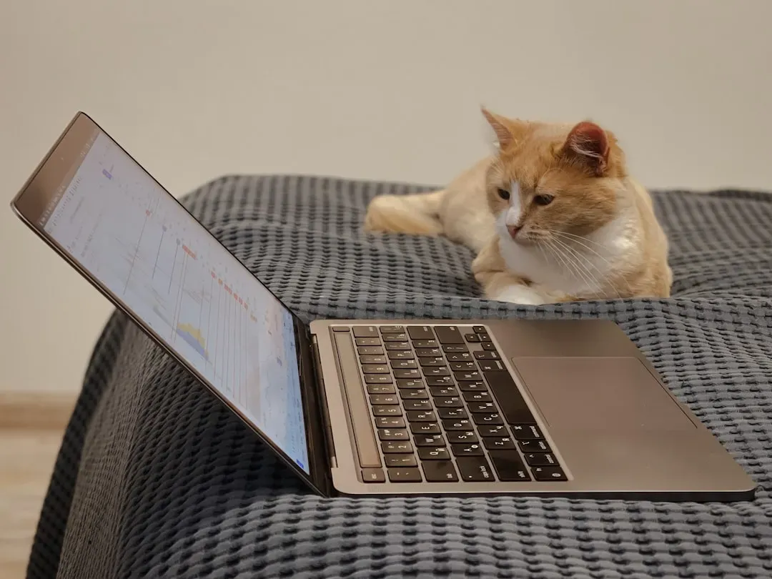 The Decoy Laptop Trick. Does It Actually Work? (Image Credits: Unsplash)
