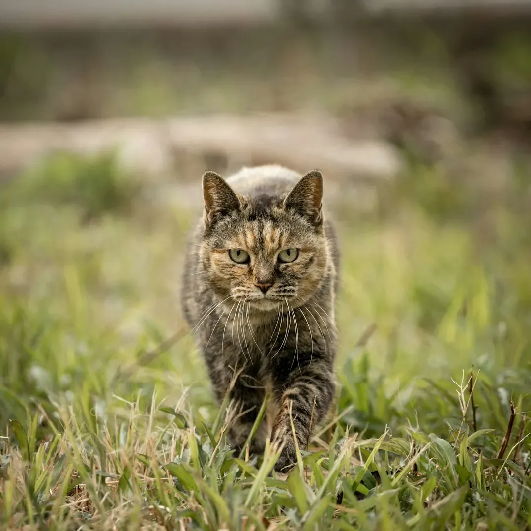 Reading the Difference Between a Loving Stare and a Tense One (Image Credits: Unsplash)
