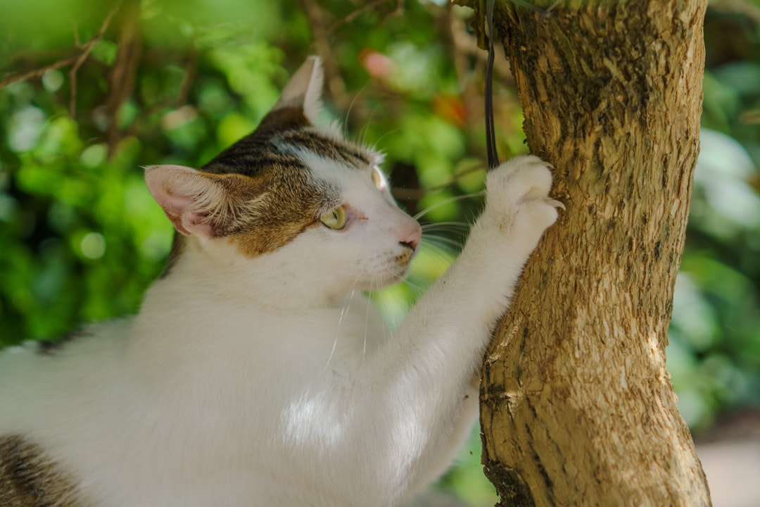 Territory Marking and Scent-Related Behaviors (Image Credits: Unsplash)