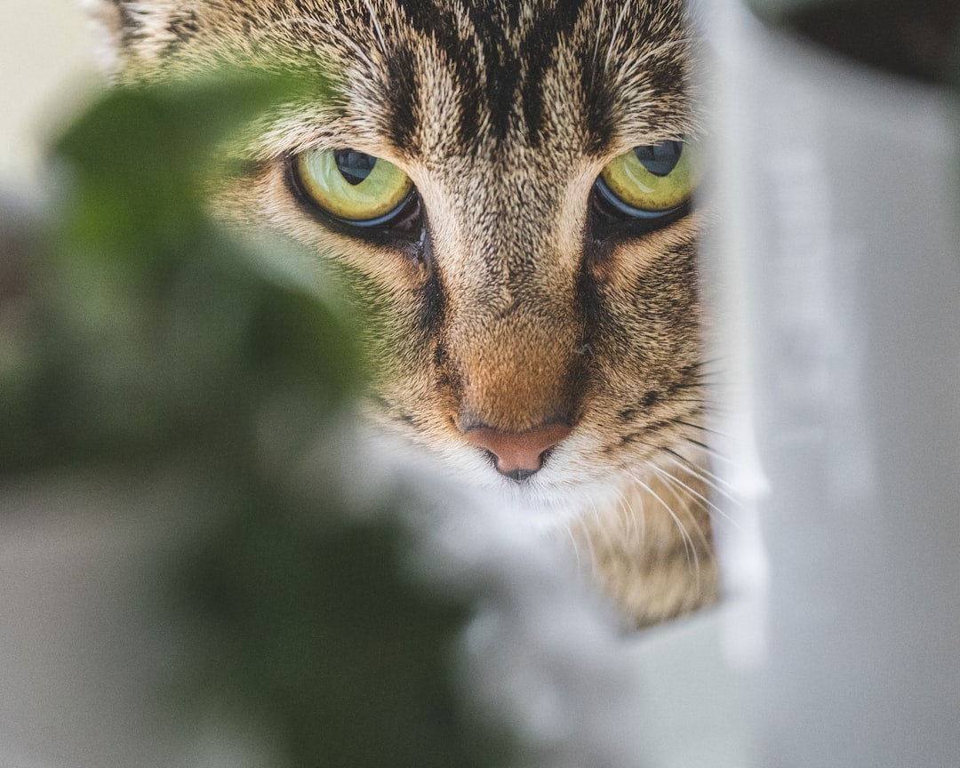 Ancient Instincts: The Predator's Perfect Hideout (Image Credits: Unsplash)