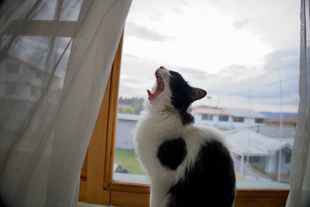 Weather-Related Infrasonic and Ultrasonic Activity (Image Credits: Unsplash)