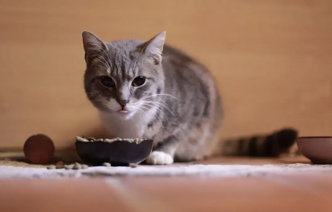 #7 - She Eats Slowly and Without Rushing (Image Credits: Unsplash)