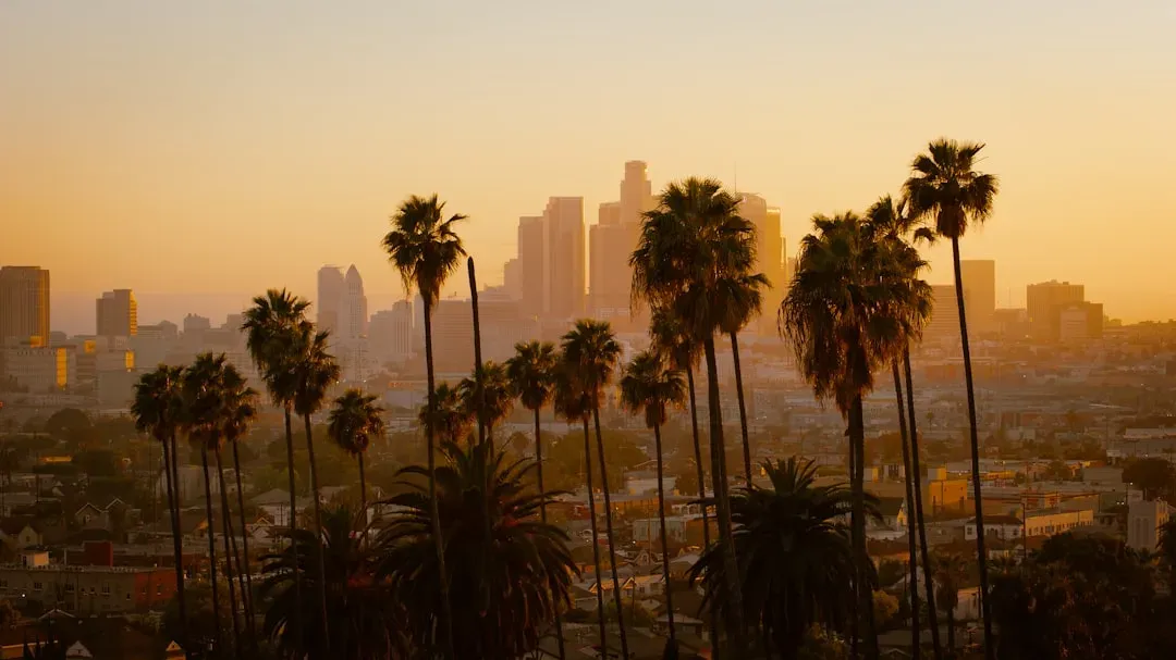 Los Angeles (Image Credits: Unsplash)