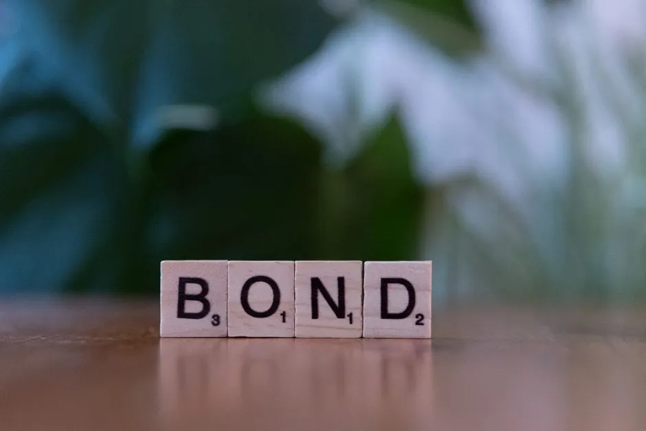 Bonds: Steadier Income, Lower Returns (Image Credits: Pexels)