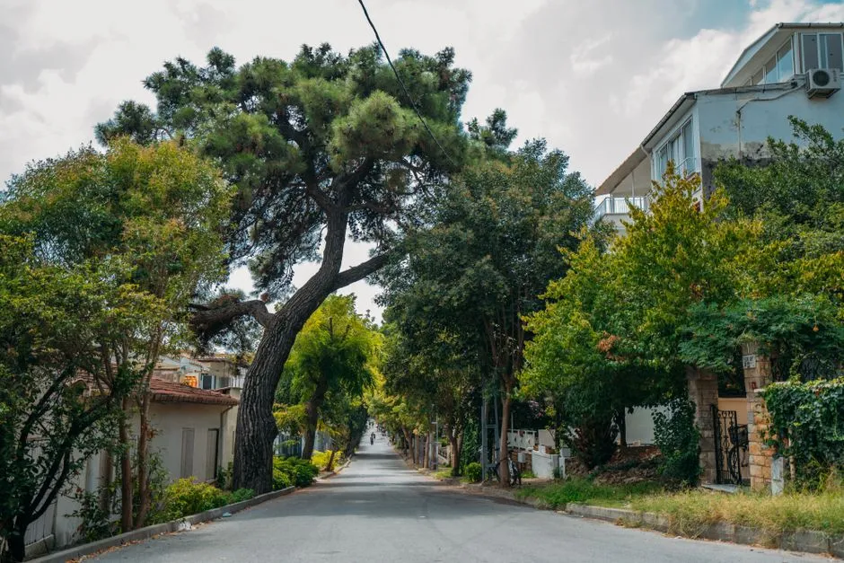 The Quiet That Actually Compounds (Image Credits: Pexels)