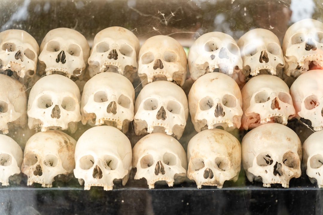 The Khmer Rouge Horror: Pol Pot's Killing Fields (image credits: unsplash)
