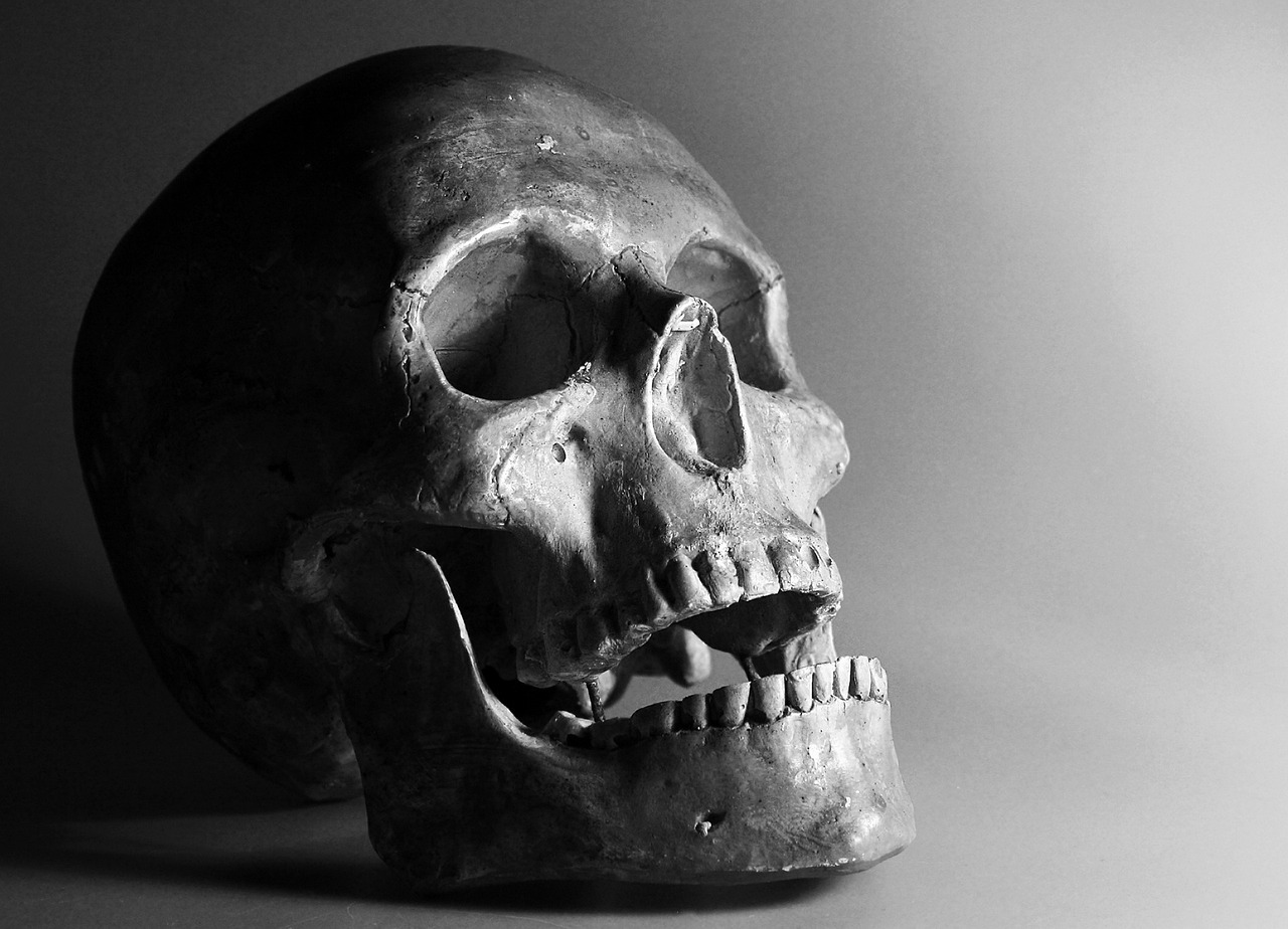 Skull and Bones: America’s Elite Club (image credits: pixabay)