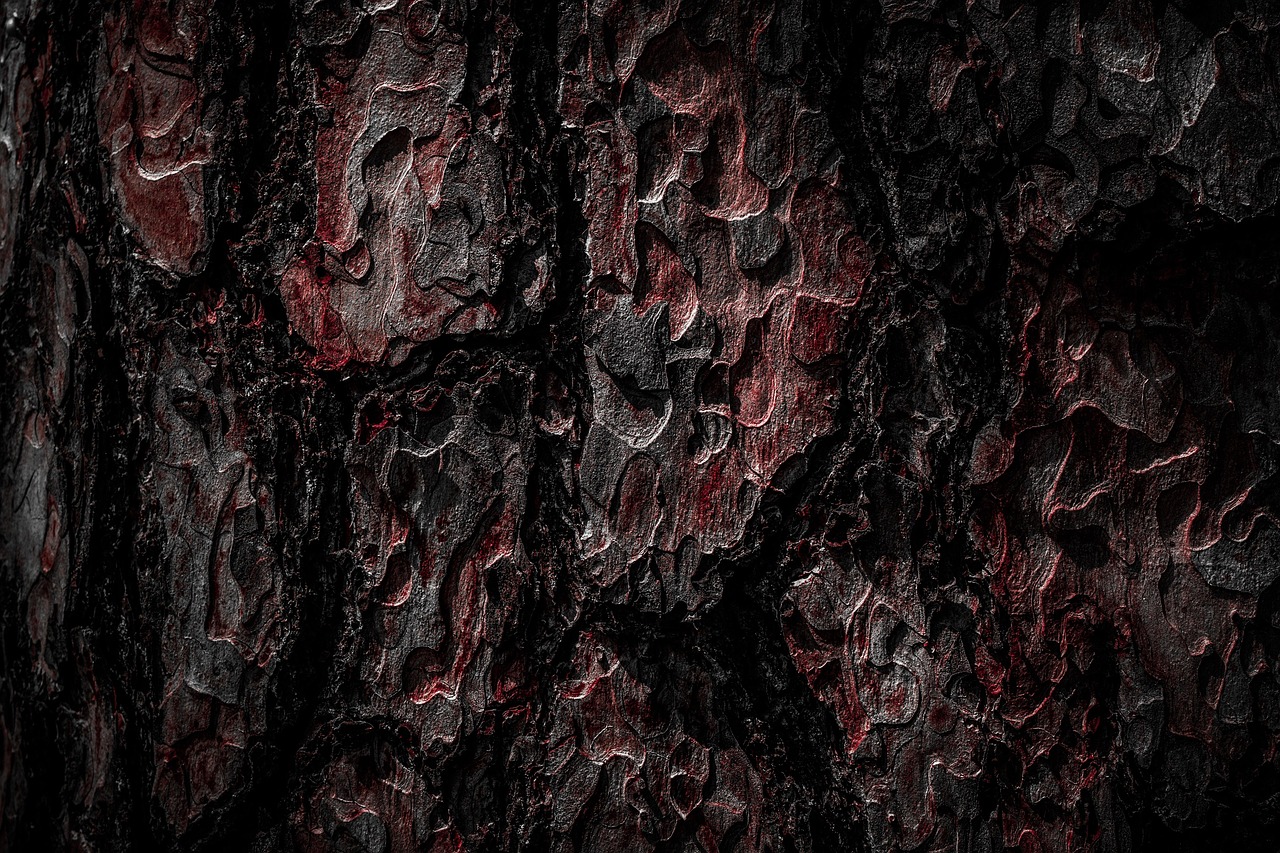 Knocking on Wood: Tree Spirit Protection (image credits: pixabay)