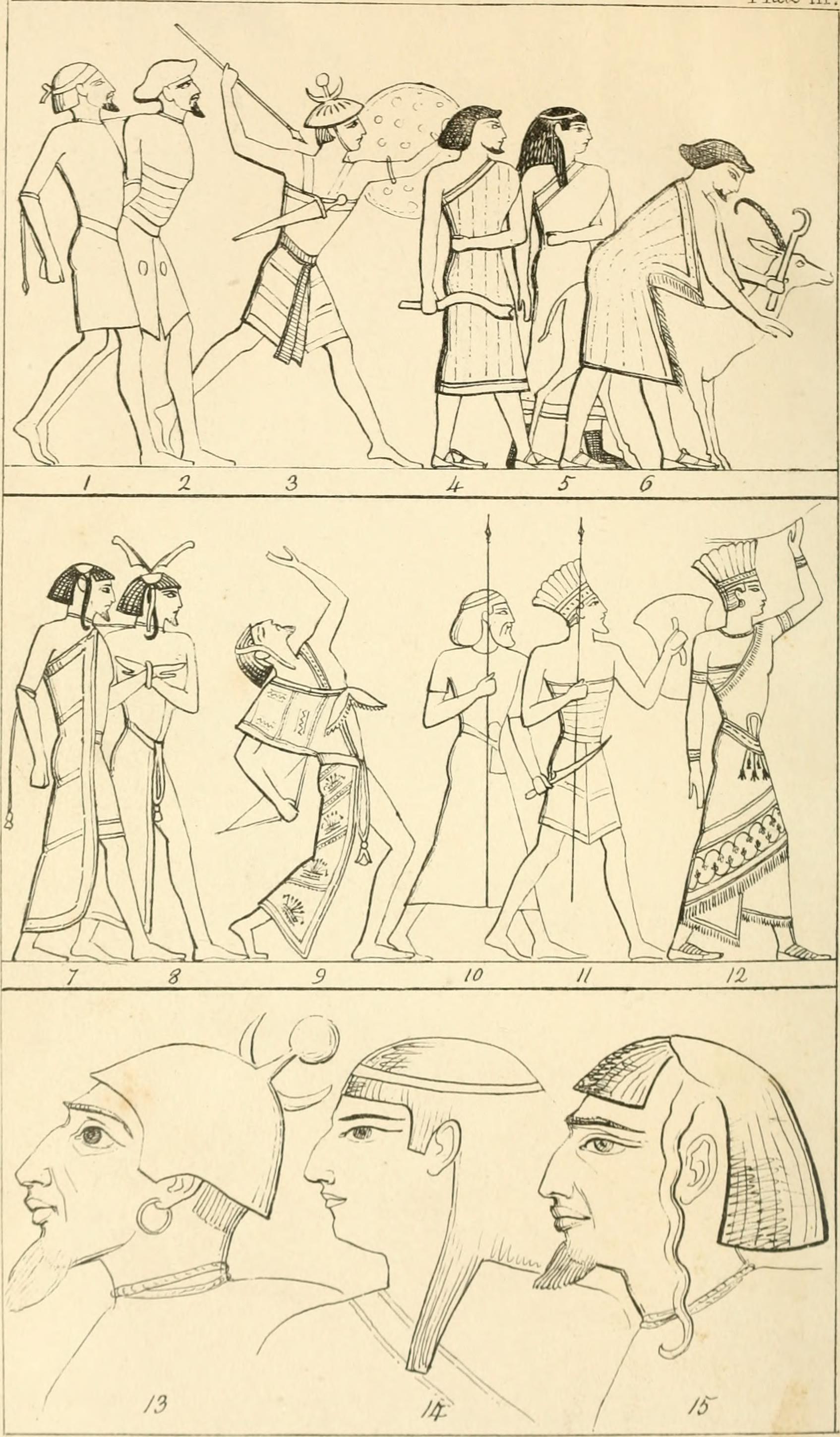 Archaeological Discoveries Supporting the Theory (image credits: wikimedia)
