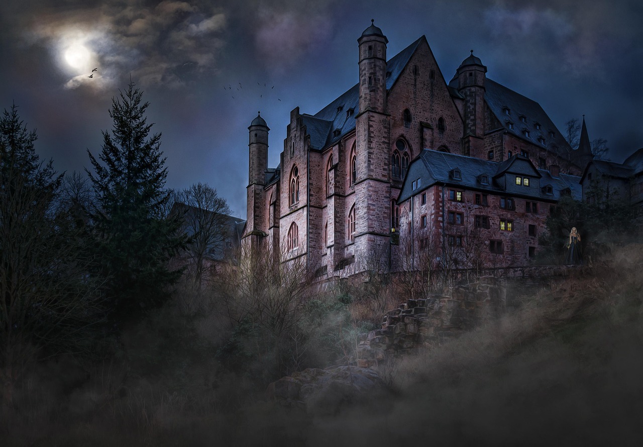 Castles: Fortresses and Prisons (image credits: pixabay)