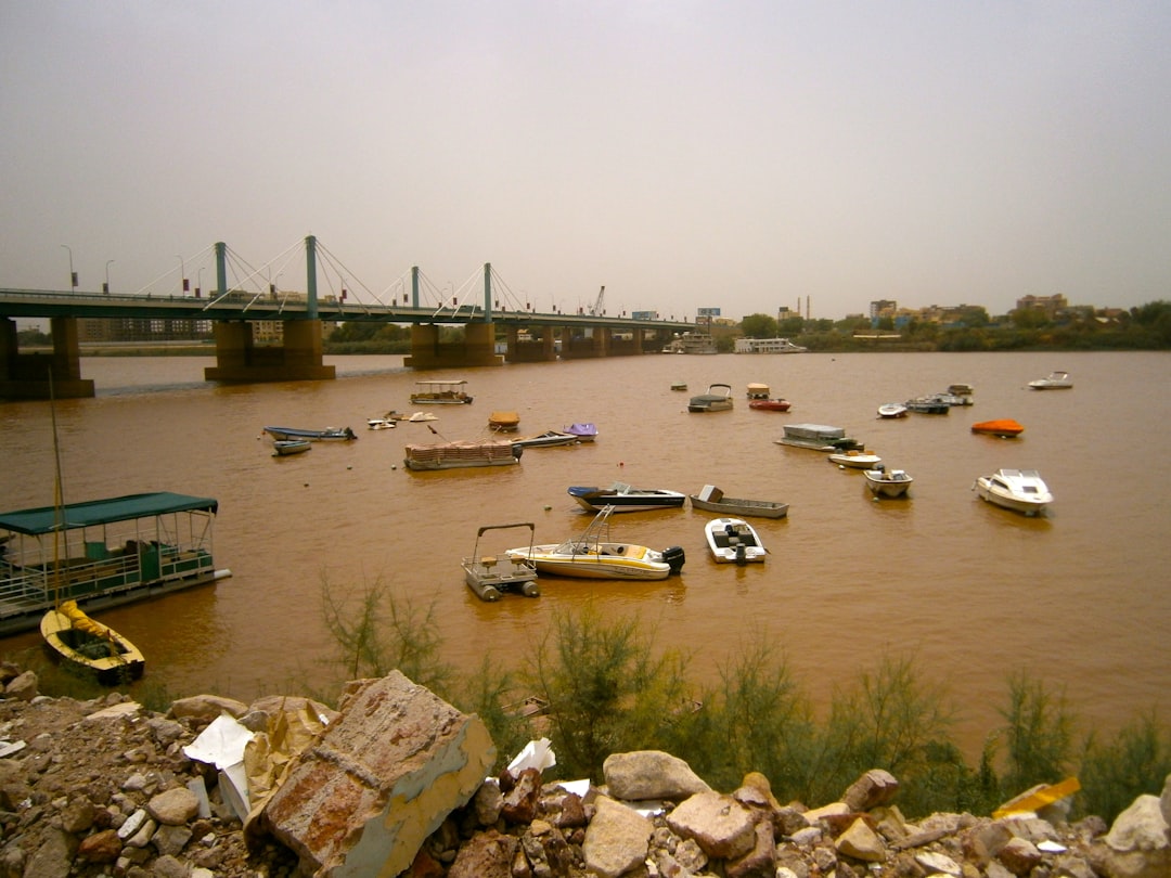 Cairo, Illinois: Strategic Location, Fatal Decline (image credits: unsplash)