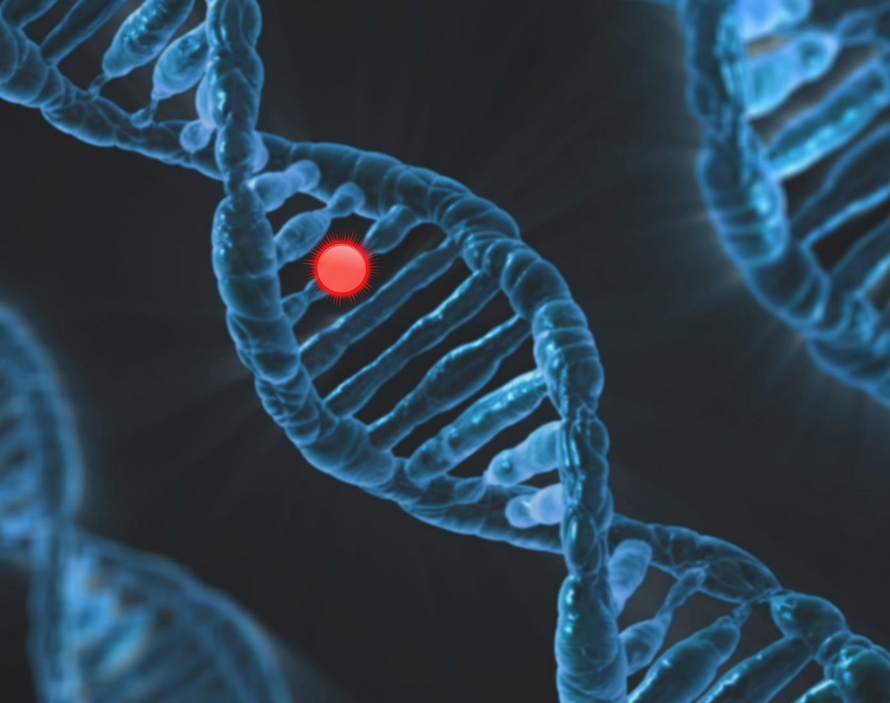 The Hidden Figures of Science (image credits: pixabay)