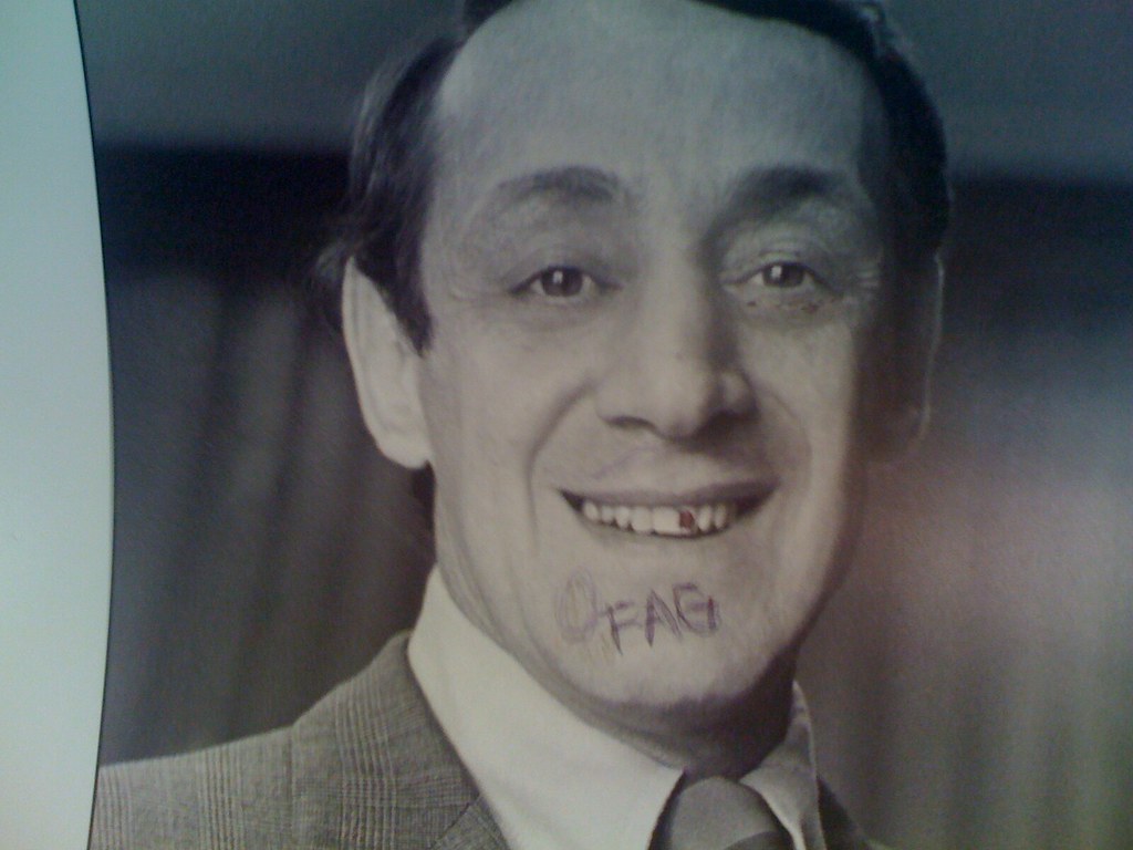 Harvey Milk (1930–1978) (image credits: flickr)