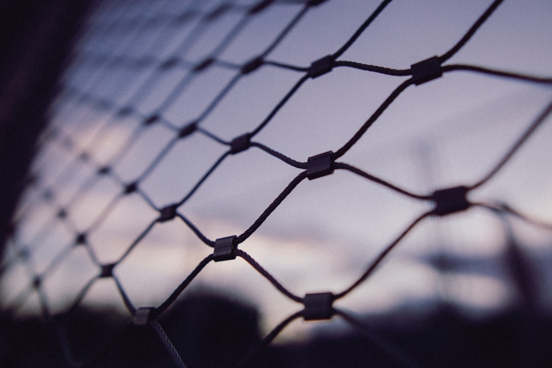 Escape from the “Rock”: The 1979 Bus Hijack Attempt (image credits: unsplash)