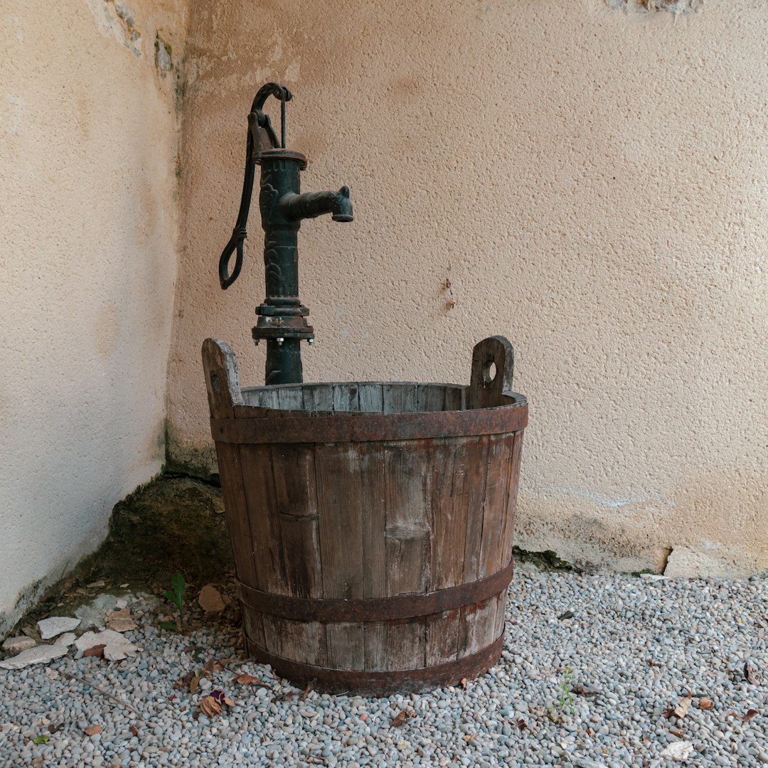 Cities Had Dedicated Sanitation Officials (image credits: unsplash)