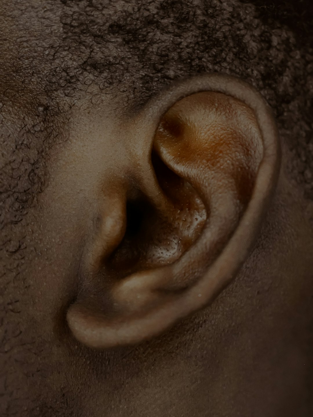 An English Captain's Severed Ear That Launched a Global Conflict (image credits: unsplash)
