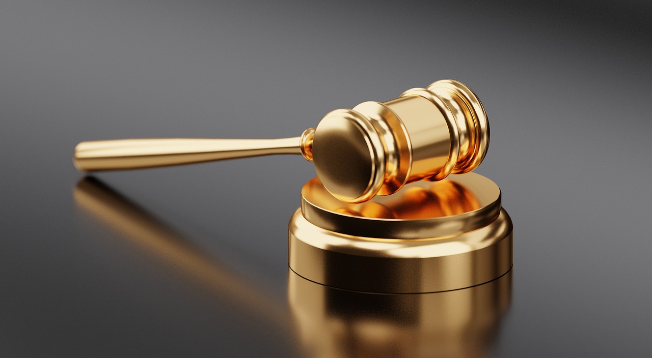 Emergency Powers and Democratic Norms (image credits: pixabay)