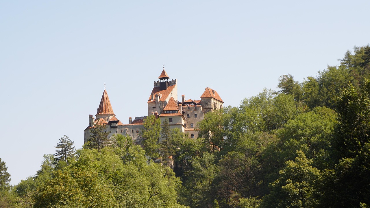 The Impaler's Reign of Terror: Vlad Tepes and His Forest of Stakes (image credits: pixabay)