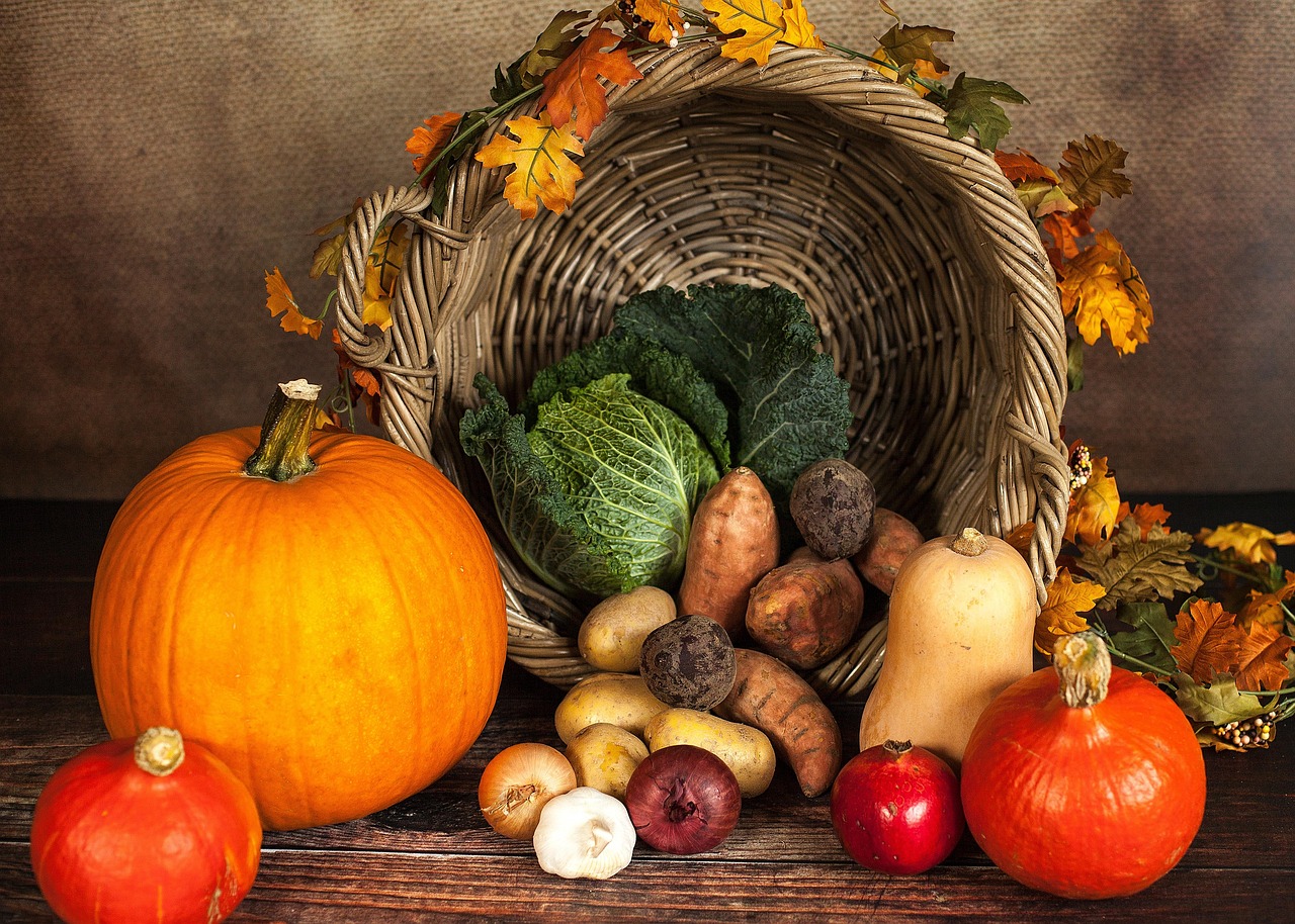 The First Thanksgiving (image credits: pixabay)