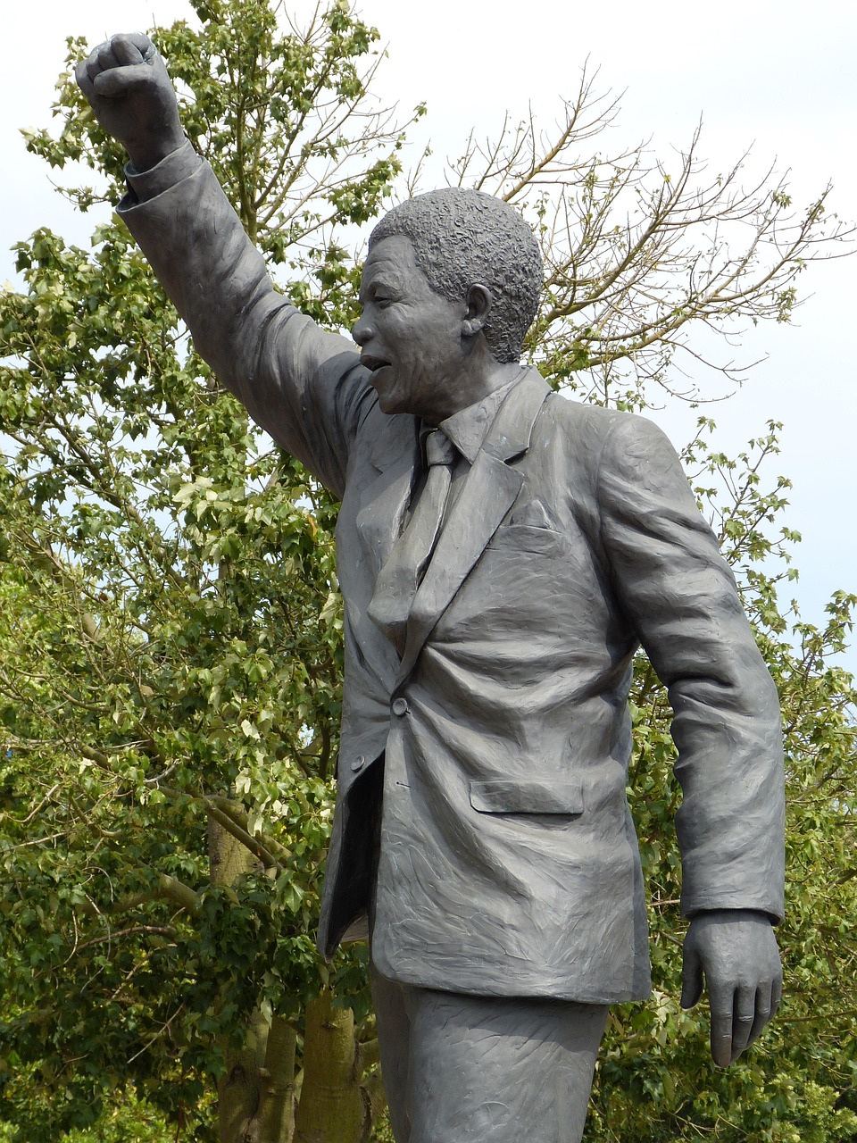 Nelson Mandela: From Prisoner to President (image credits: pixabay)