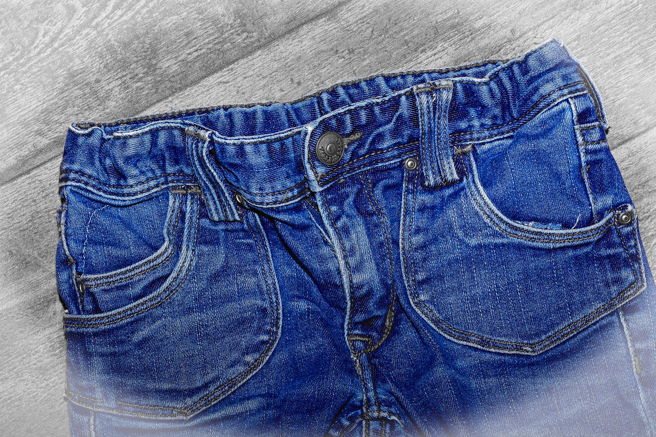 Blue Jeans: The Denim That Broke Democracy (image credits: pixabay)