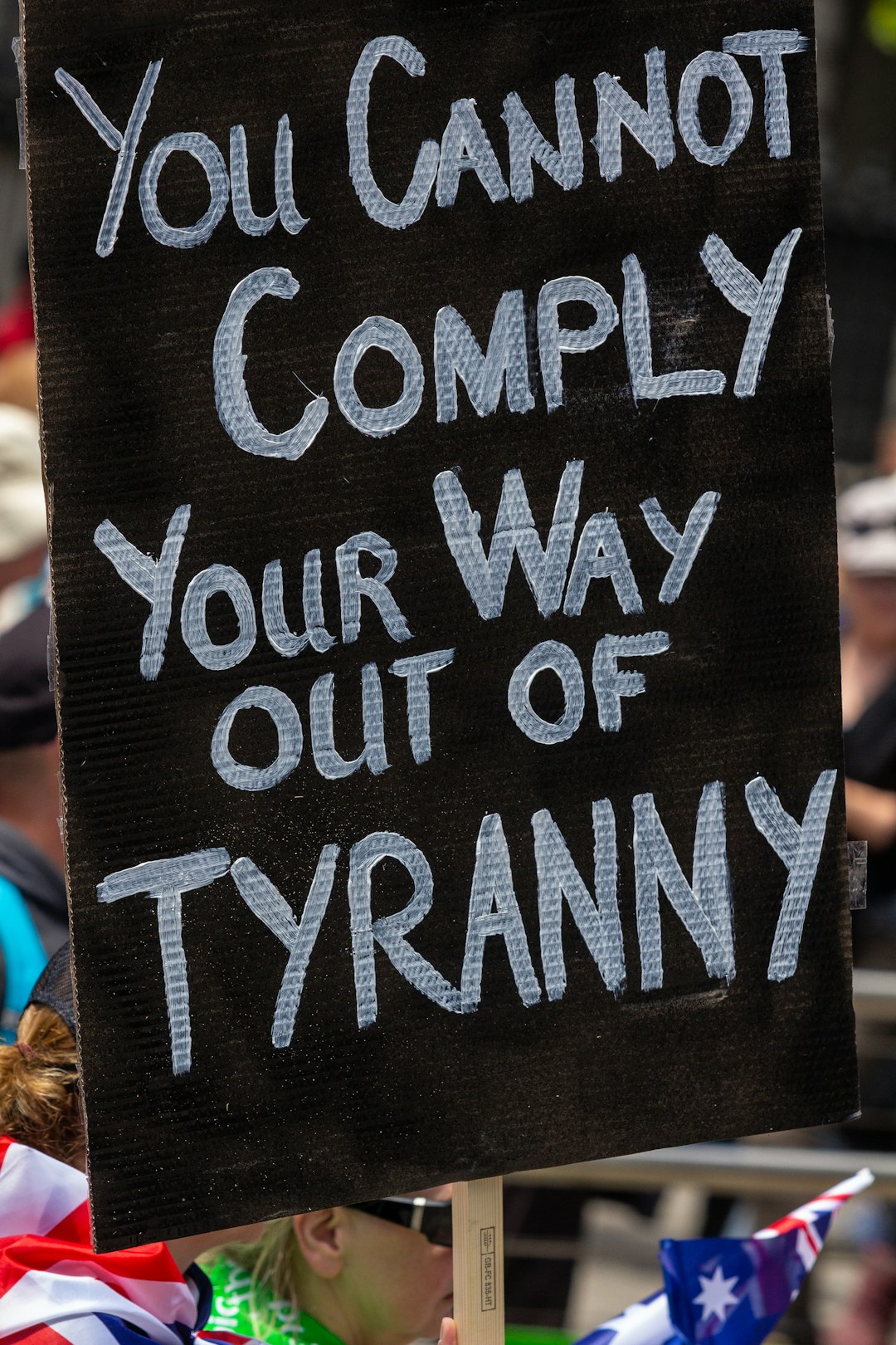 The Scapegoating Strategy (image credits: unsplash)