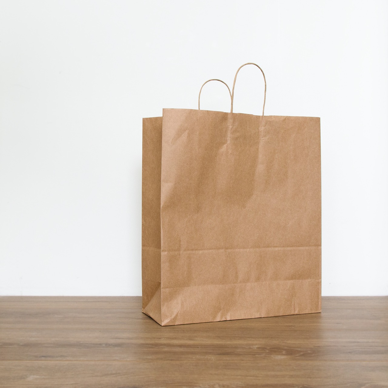 Margaret E. Knight and the Paper Bag (image credits: pixabay)