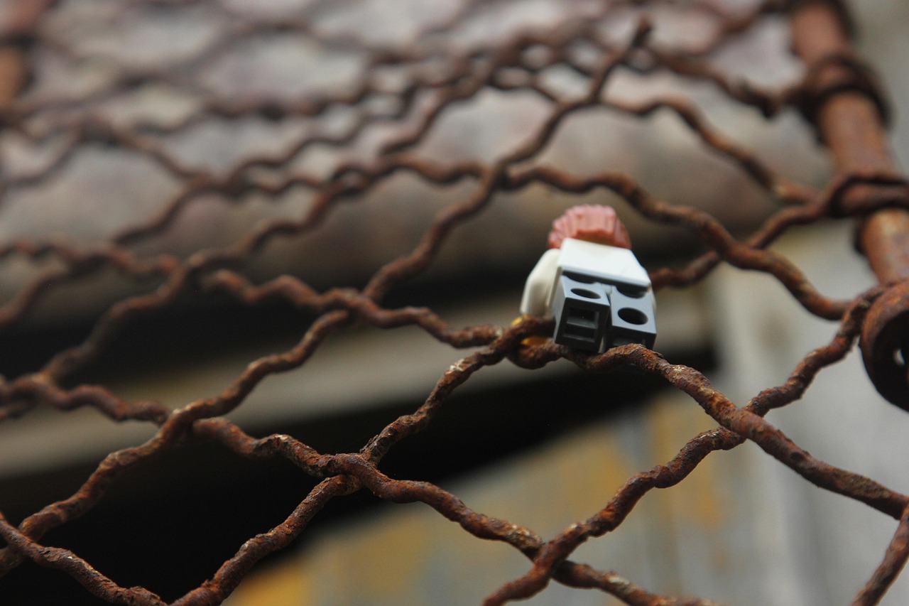 The 2001 New Mexico State Penitentiary Escape: Brute Force and Speed (image credits: pixabay)