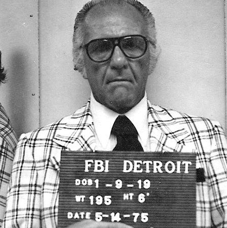 The Disappearance of Jimmy Hoffa (image credits: wikimedia)