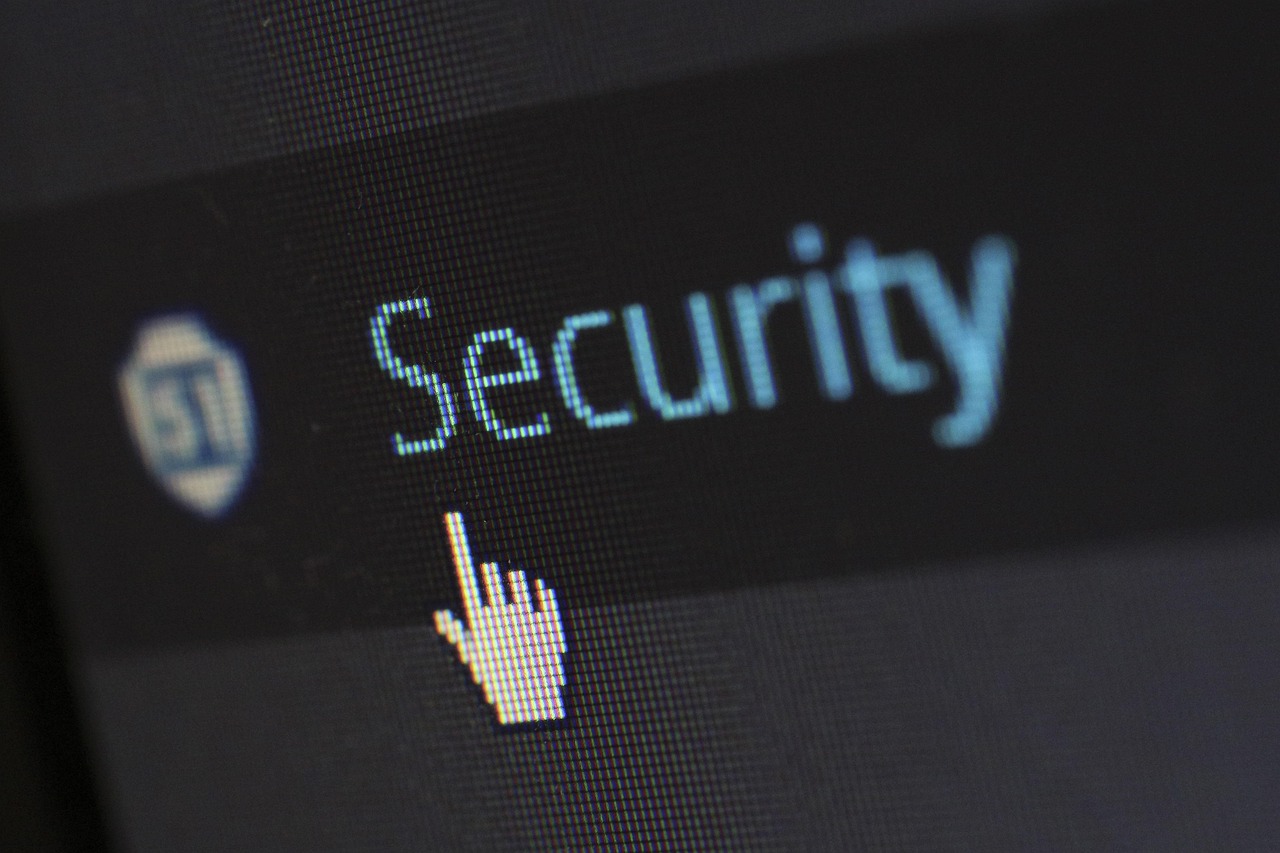 Marie Van Brittan Brown and the Home Security System (image credits: pixabay)