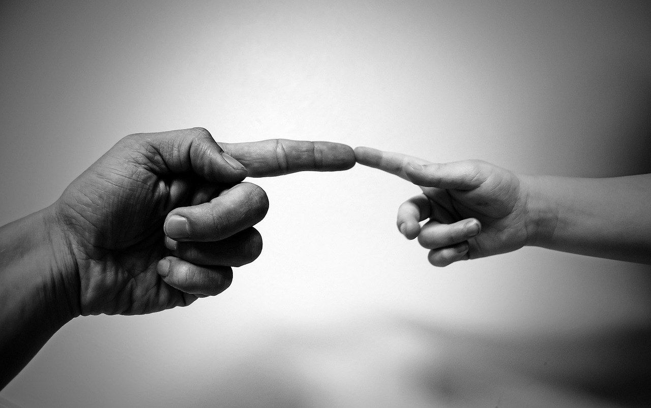 The Gradual Erosion of Empathy (image credits: pixabay)