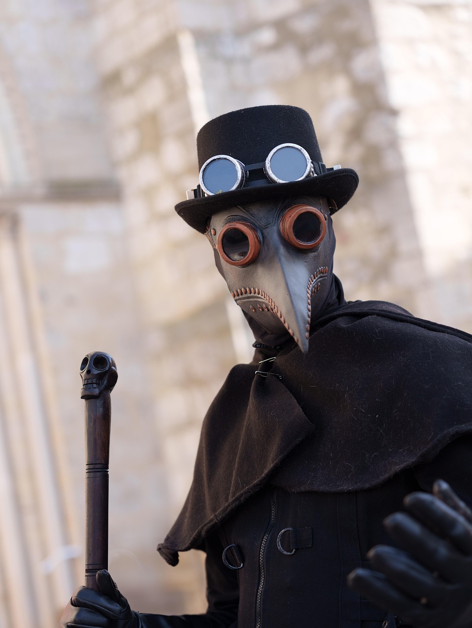 The Plague: A Dark Chapter (image credits: pixabay)