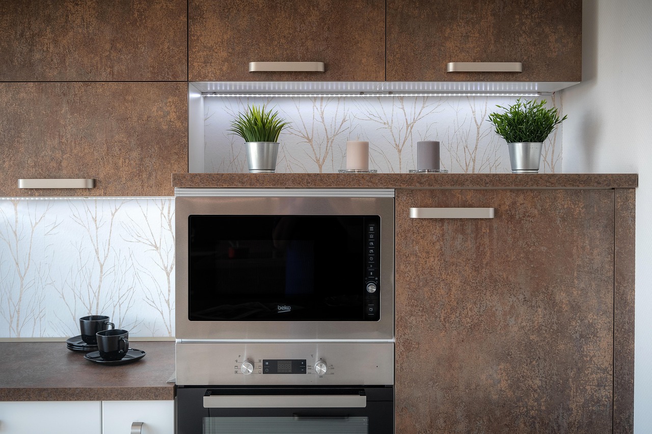 The Invention of the Microwave Oven (image credits: pixabay)