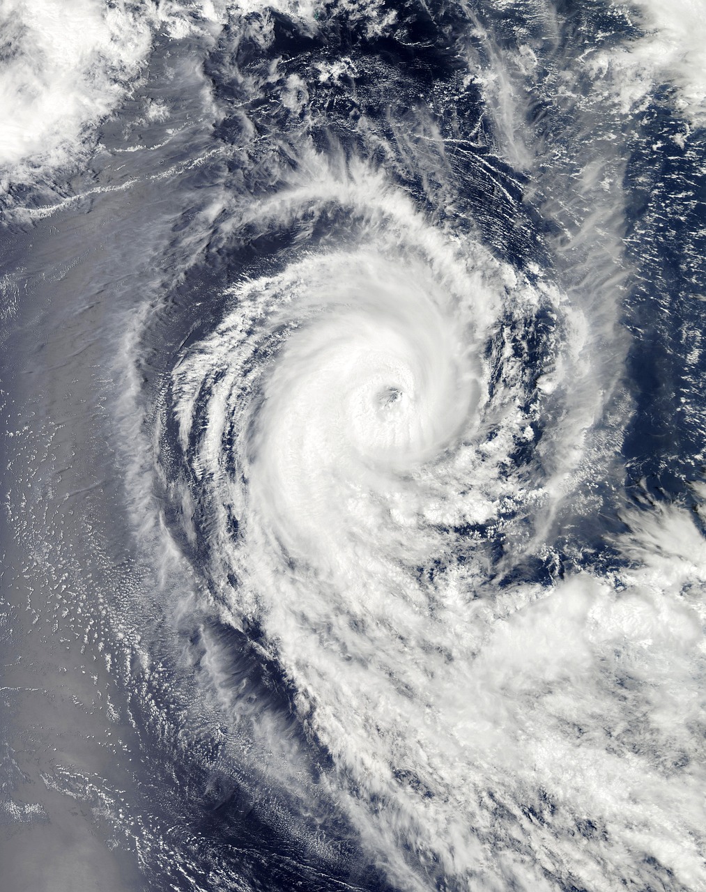 Hurricane Helene's Path of Unprecedented Destruction (image credits: pixabay)