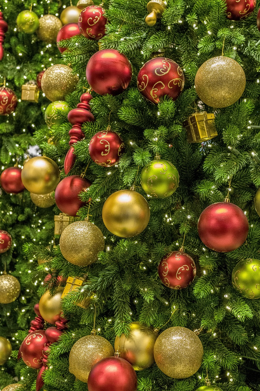 Christmas Trees: Germanic Winter Solstice Magic (image credits: pixabay)