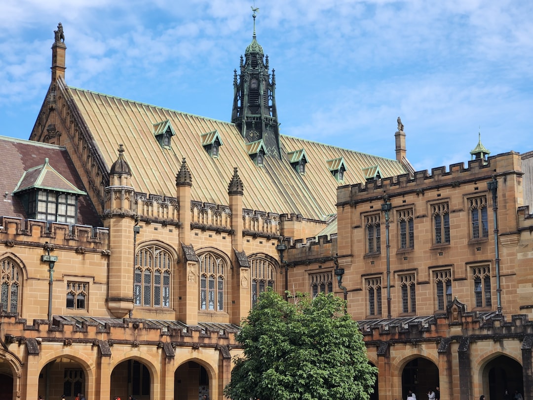 Universities – The Medieval Innovation Hub (image credits: unsplash)