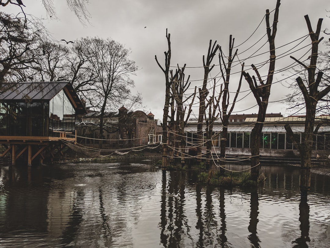 Cahaba, Alabama: The Capital That Drowned (image credits: unsplash)