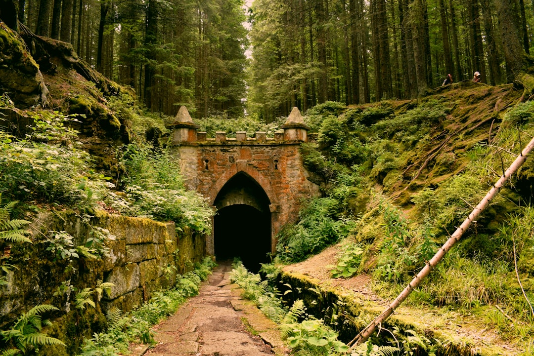 Folklore and Mythology (image credits: unsplash)