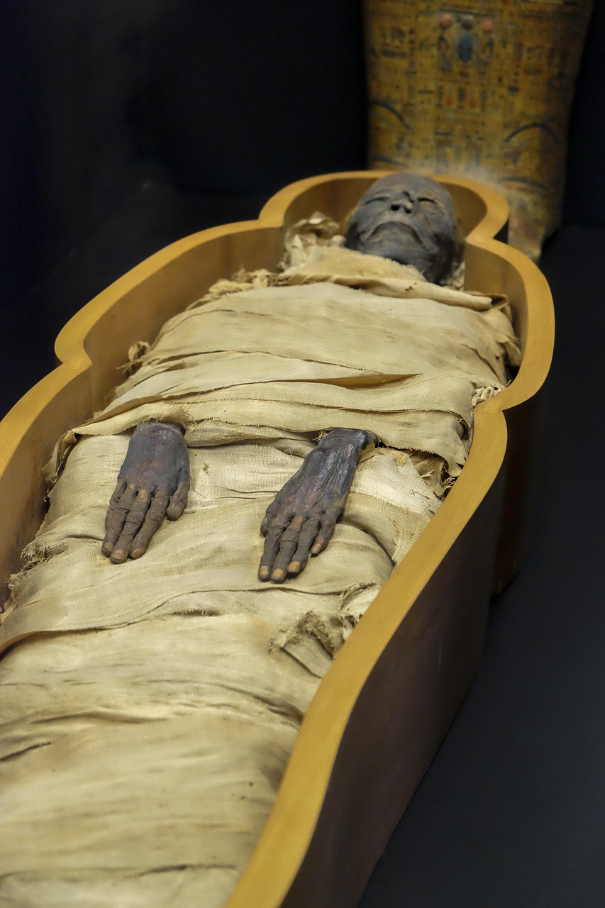 The Mummy's Curse (image credits: pixabay)