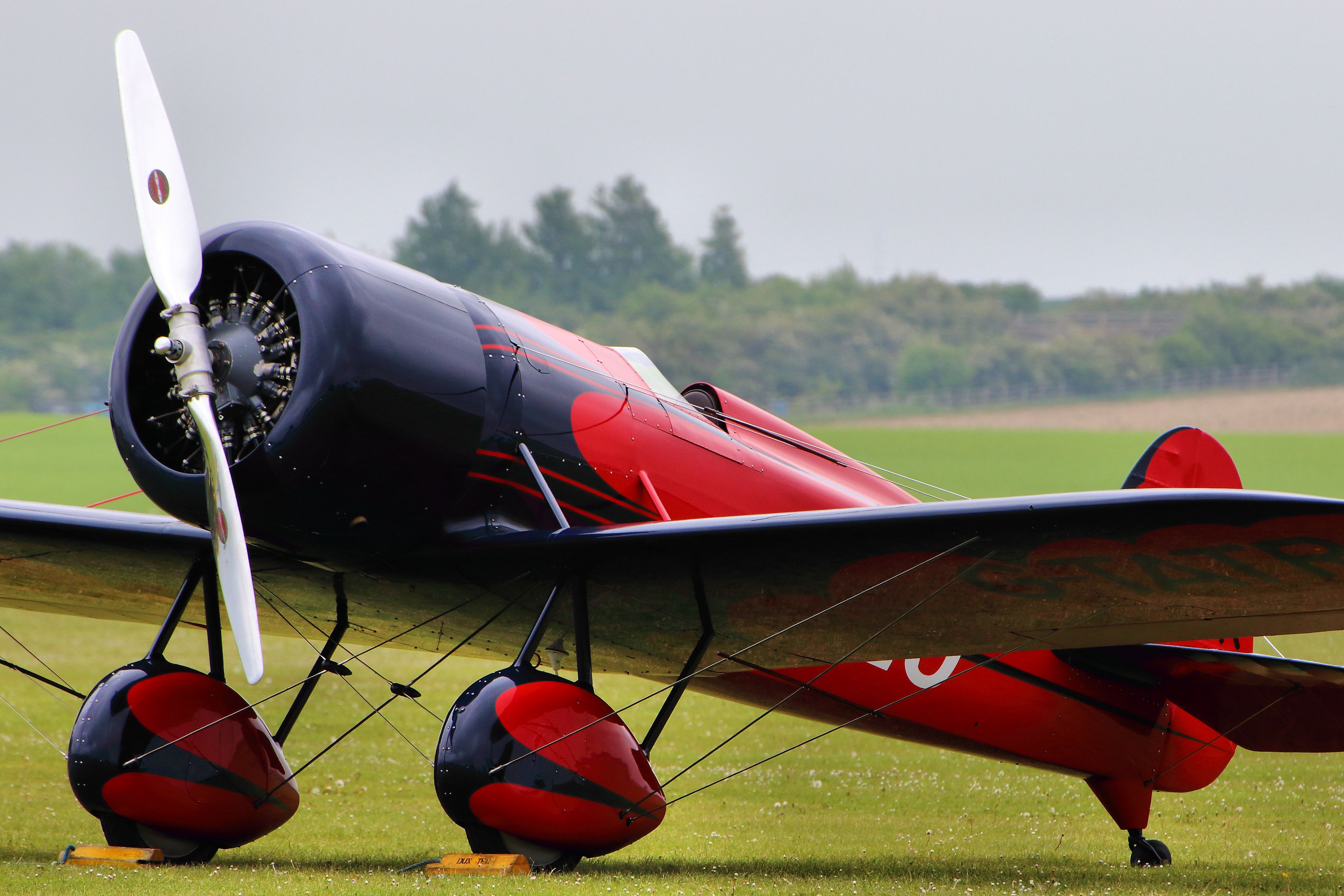 Amelia Earhart: The Aviation Pioneer Who Flew Into History (image credits: wikimedia)