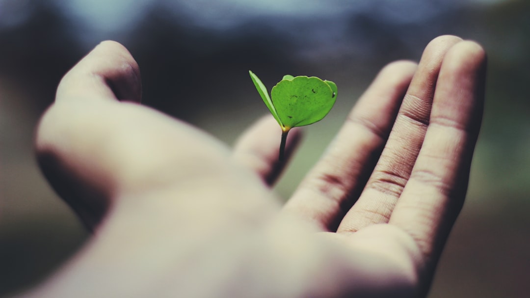 Lessons We Can Learn (image credits: unsplash)