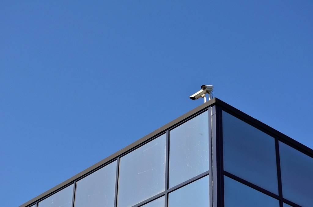 Surveillance State: The Erosion of Privacy (image credits: rawpixel)